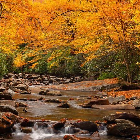 Romantic, Honeymoon Cabin In The Smokies! Gatlinburg Exteriér fotografie